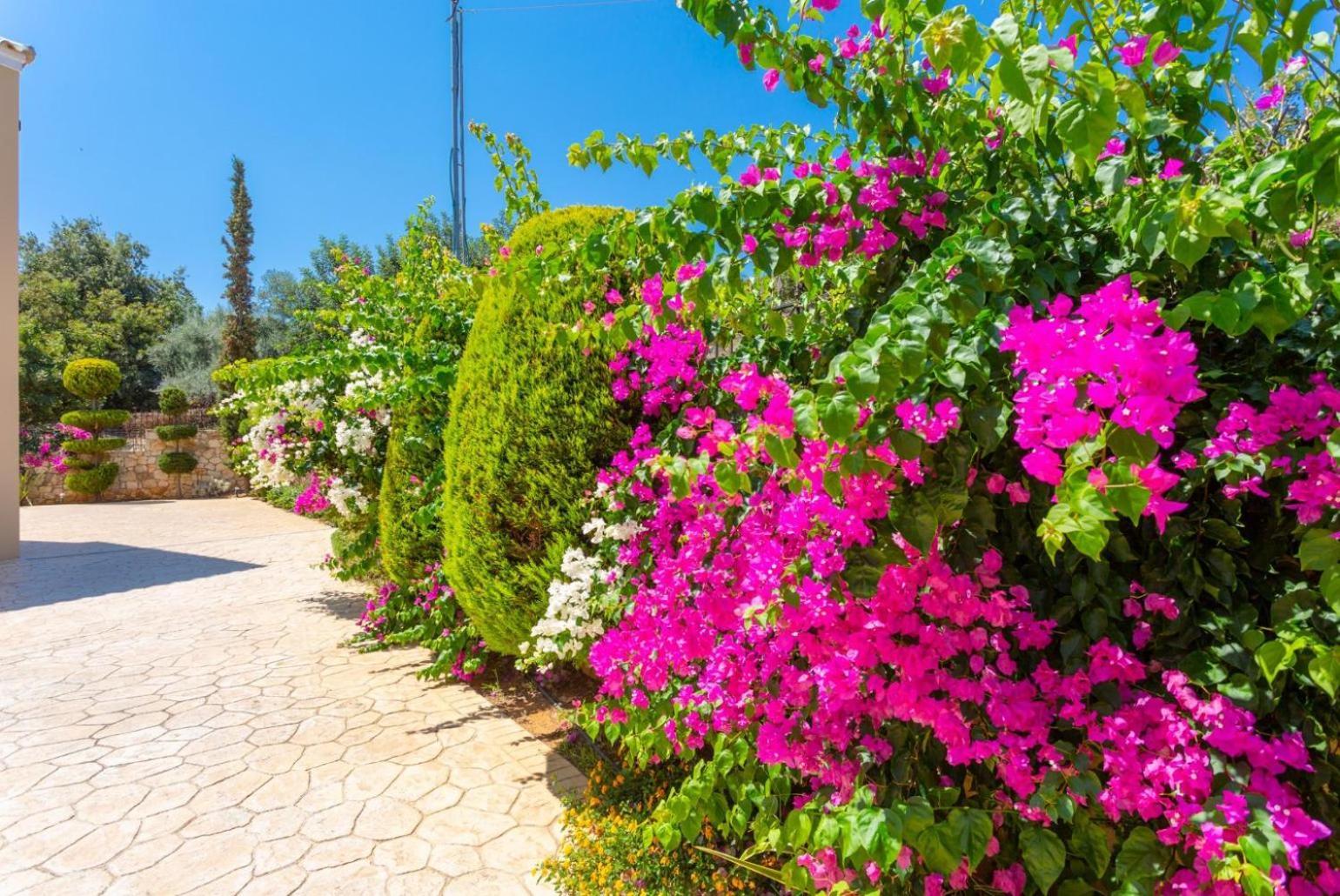 Villa Mary Gerani Chanion Екстериор снимка