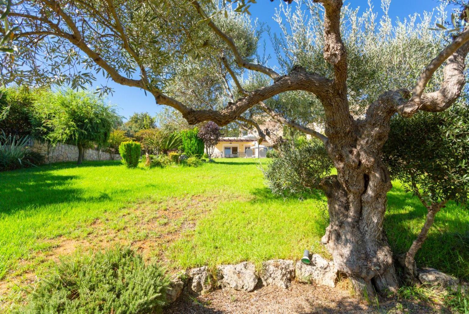Villa Mary Gerani Chanion Екстериор снимка